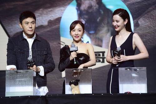 娱乐圈吃瓜爆料推文,揭秘明星背后的秘密与真相