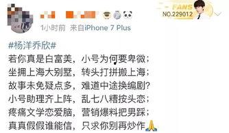 小说吃瓜娱乐,揭秘娱乐圈背后的秘密与真相