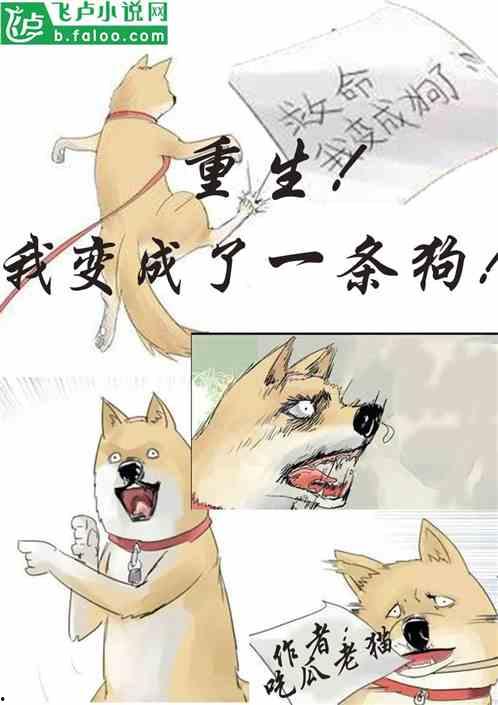 吃瓜人小说合集